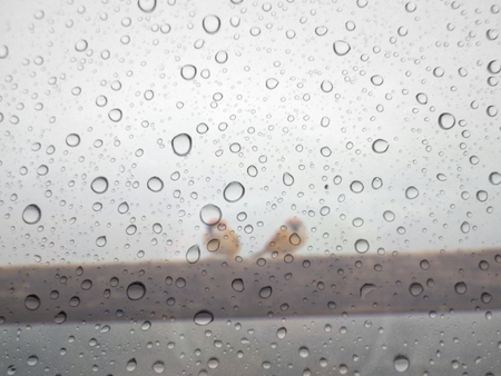 close up drops of rain on glass background. bird out of focusの写真素材