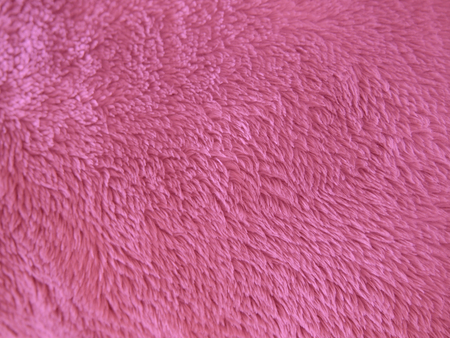 Teddy bear purple fur