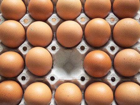 Chicken Egg