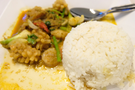 squid fried curry powderの写真素材