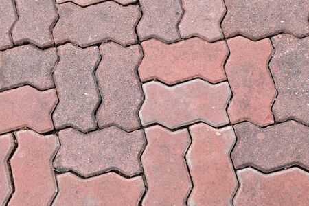 brick walk path in public parkの写真素材