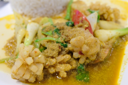 squid fried curry powderの写真素材
