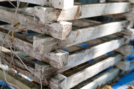 soft focus , wooden flowerpotの写真素材