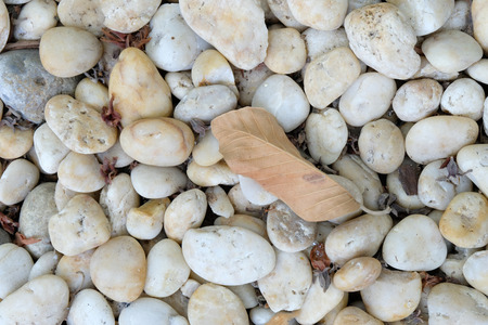 white stone texture background ,close upの写真素材