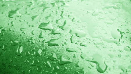 Water droplets texture on green backgroundの写真素材