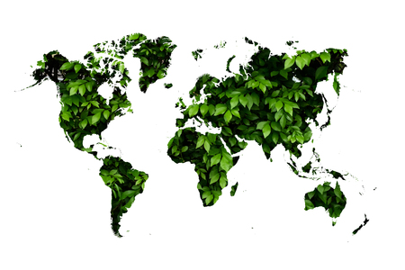 world map on green leave backgroundの写真素材