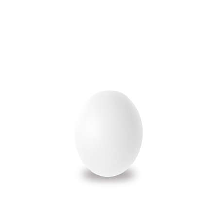 white egg isolated on white background ,3D illustrationの写真素材