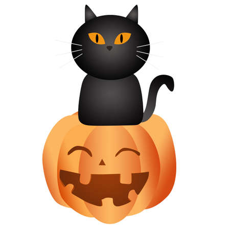 Black cat sitting pumpkin on white background,  3d illustration conceptの写真素材