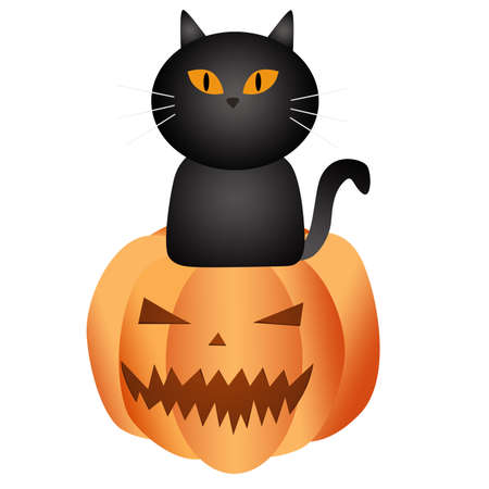 Black cat sitting pumpkin on white background, 3d illustration conceptの写真素材