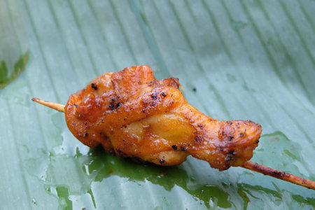 Grilled Chicken on banana leafの写真素材