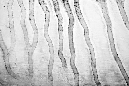 Grunge background of black and whiteの写真素材