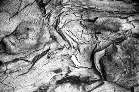 Dark black wooden texture close upの写真素材