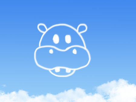 hippo shape clouds in the blue skyの写真素材