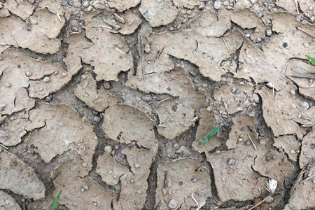 cracked surface top viewの写真素材