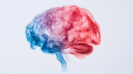 An ethereal brain depicted in soft smokey hues of blue and red, capturing a flowing, vibrant essence. Background appears solid, accentuating the blended colors and dynamic forms.の素材