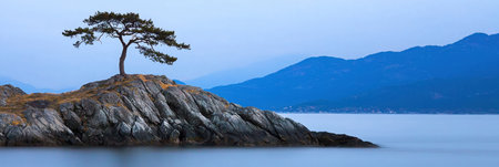 A tranquil scene featuring a lone pine tree on a rocky island, surrounded by calm waters and mountains. Ideal for relaxation and nature inspiration.の素材
