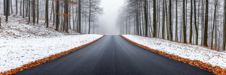 A peaceful winter road lined with bare trees and a gentle layer of snow creates a serene and inviting atmosphere, perfect for a tranquil escape.の素材