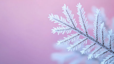 A close-up view of a frosted branch set against a soft pink background, showcasing the beauty and elegance of winter nature. Perfect for seasonal themes.の素材