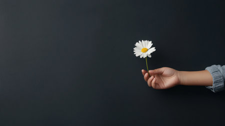 A delicate hand gently holds a single white daisy flower against a dark background, creating a minimalist and elegant composition that embodies beauty and simplicity.の素材