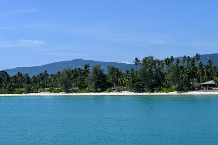Experience the beauty of a peaceful tropical beach with crystal-clear water, lush palm trees, and...