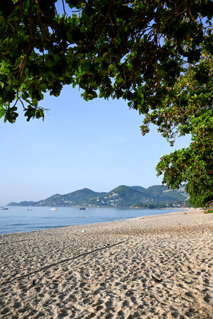 A tranquil beach setting featuring soft sandy shores, calm waters, and vibrant greenery. Perfect for relaxation and escape, this image captures the beauty of nature on a sunny day.の写真素材