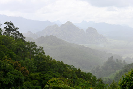 Explore a captivating view of lush green mountains shrouded in mist under a cloudy sky. This serene...