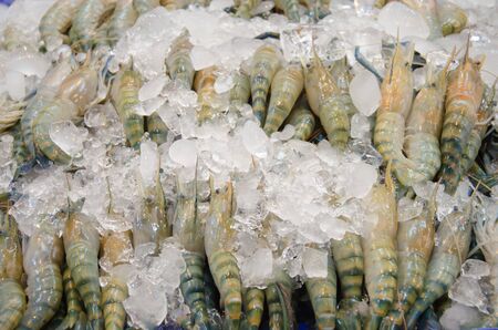 Giant freshwater prawn with ice in thai marketの写真素材