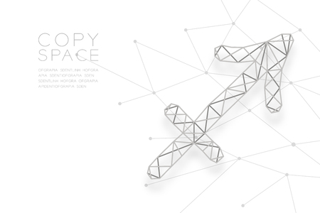 Sagittarius Zodiac sign wireframe Polygon silver frame structure, Fortune teller concept design illustration isolated on white background with copy space, vectorのイラスト素材