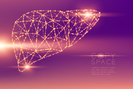 Liver shape futuristic pattern wireframe polygon bokeh light structure and lens flare, Medical Science Organ concept illustration isolated on purple gradients background with copy spaceのイラスト素材