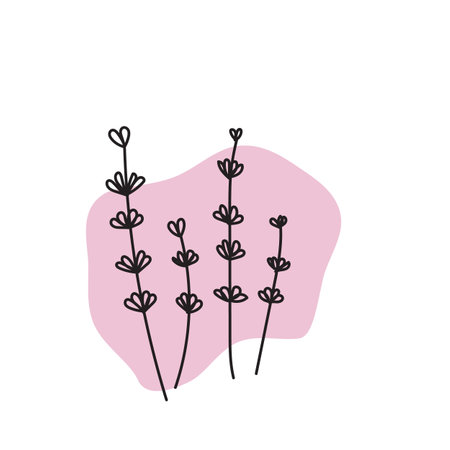 Lavender flower line art icon. Hand drawn vector illustration.のイラスト素材