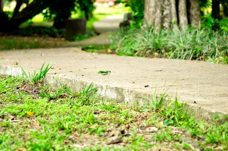 footpath in gardenの写真素材