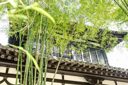 Beautiful Japanese garden in Thailand の写真素材