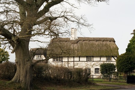 A rustic old thatched English house with a treeの写真素材