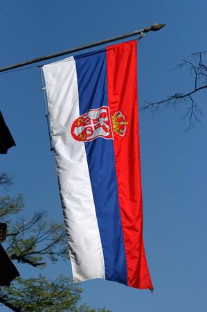 Serbian flag                                の写真素材