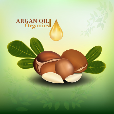 Argan oil serum. Beauty Concept Skin Care Cosmetic.Background Vector Concept with gold drop of water , argan and green leavesのイラスト素材
