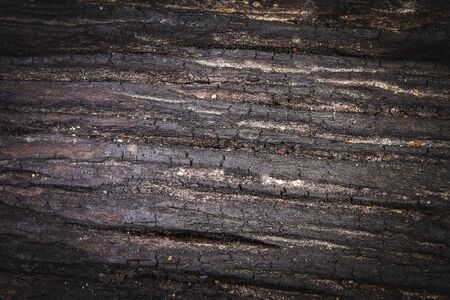 Wooden rough texture wood texture, wooden boards macroの写真素材