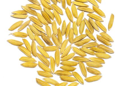 rice isolated on whiteの写真素材