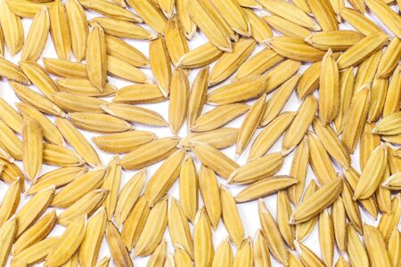 rice isolated on whiteの写真素材