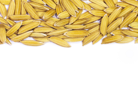 rice isolated on whiteの写真素材