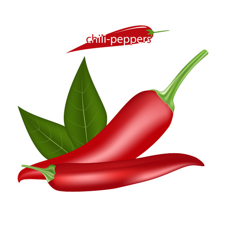 chili-peppers vector isolated on white backgroundのイラスト素材