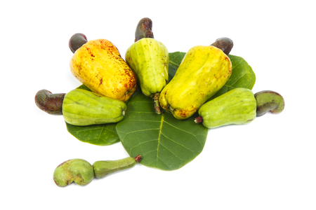 Fresh cashew nuts with green leaf isolated on whiteの写真素材