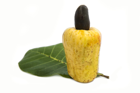 Fresh cashew nuts with green leaf isolated on whiteの写真素材