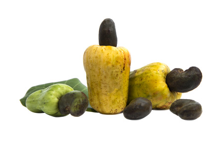 Fresh cashew nuts with green leaf isolated on whiteの写真素材