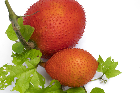 Gac fruit, Baby Jackfruit, Spiny Bitter Gourd, Sweet Grourd or Cochinchin Gourd with green leaf on white backgroundの写真素材