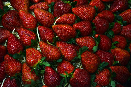 Fresh strawberries textureの写真素材