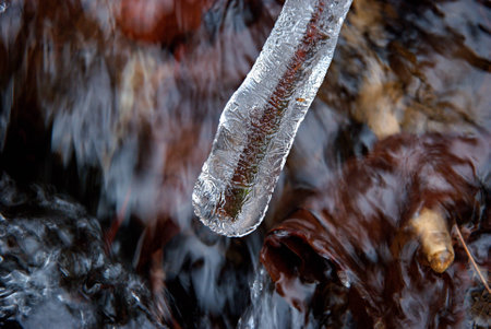 frozen twig encased in ice creekの写真素材