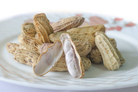 Peanuts on a plateの写真素材
