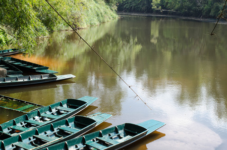 Ecotourism managed by communities with freshwater jellyfish in Thailand.