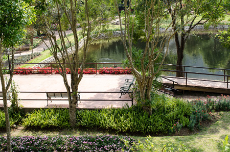 Botanical garden in the north of the country.の写真素材