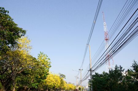 Left hand side of the road planting trees all yellow flowers. The right to have the power lines and phone towers.の写真素材